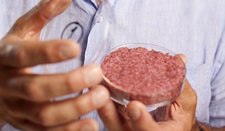 Bioreaktor zamiast kurczaka, krowy i drzewa