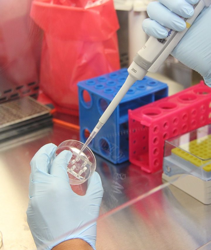 Dobra Praktyka Laboratoryjna – konsultacje publiczne