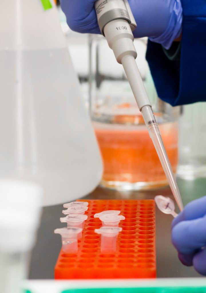 Czynniki wpływające na uzyskanie wiarygodnych wyników badań laboratoryjnych