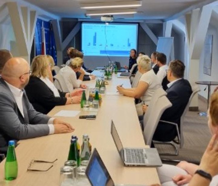 GIF: Spotkanie z przedstawicielami podmiotów odpowiedzialnych na temat dostępności antybiotyków